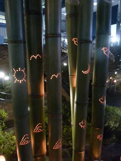 会場のライトも日本の竹を使った照明